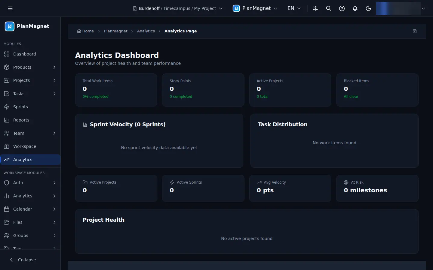 Concept illustration of an analytics dashboard with counters, a velocity panel, a task distribution panel and project health, all empty.
